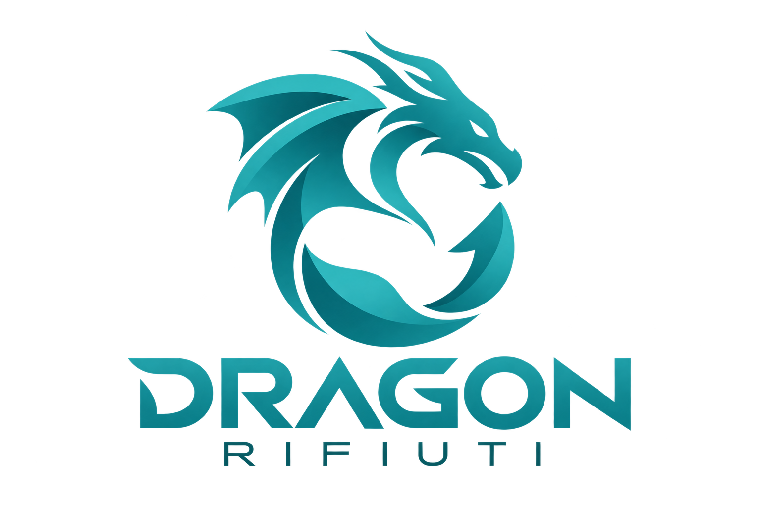 Logo Dragon Rifiuti